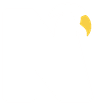 Nise Syndicate Experience