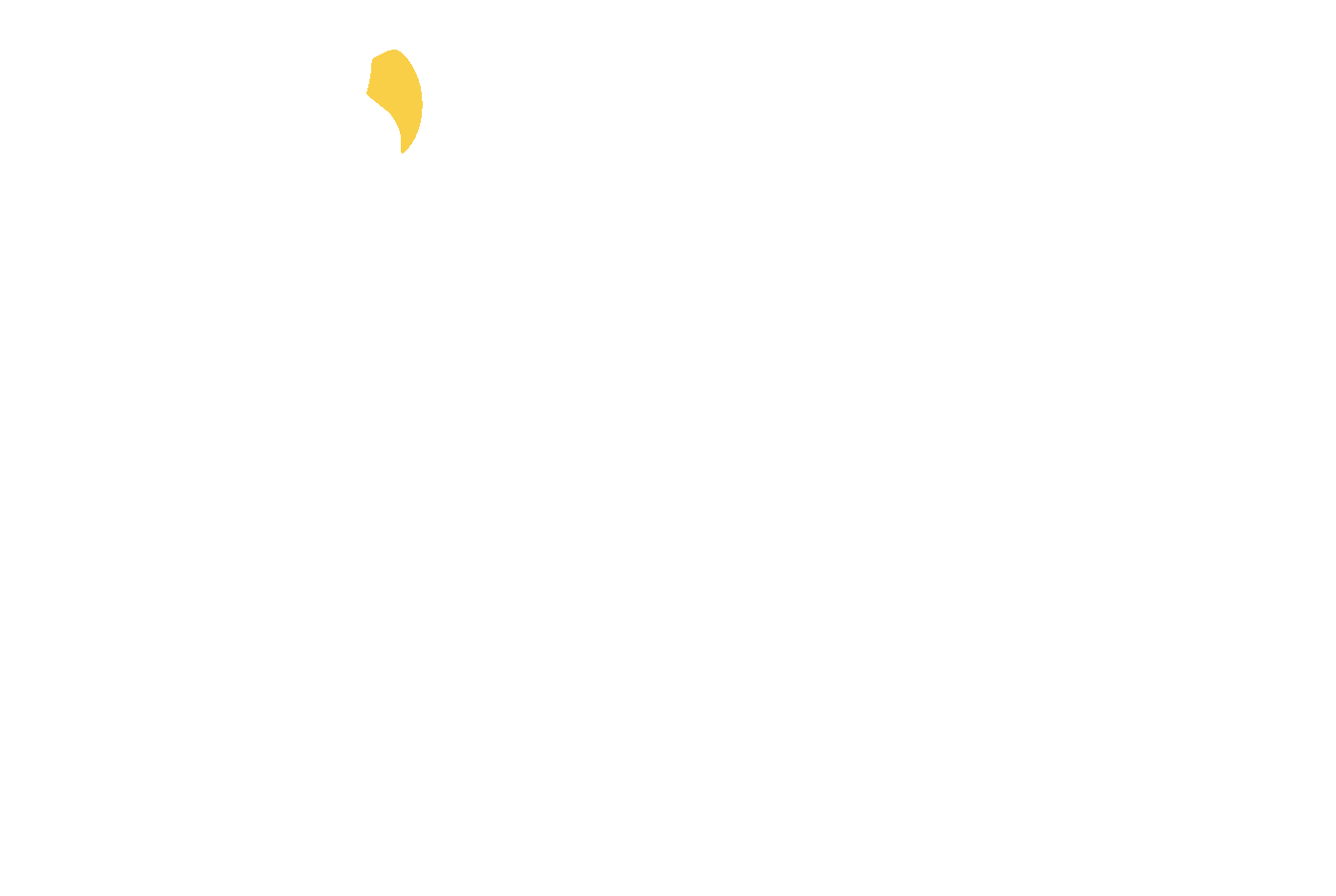 Nise Syndicate Experience