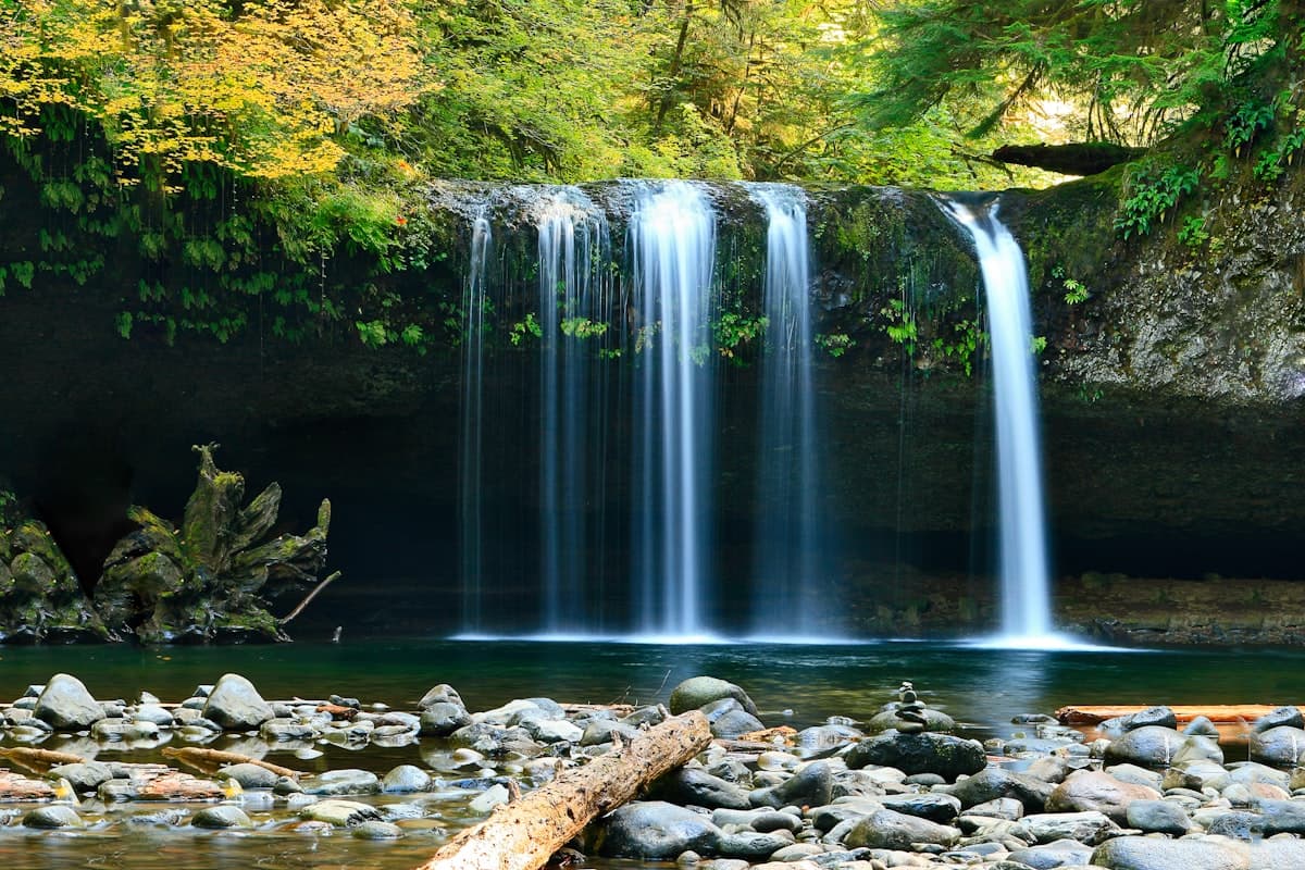 Waterfall in the reserve