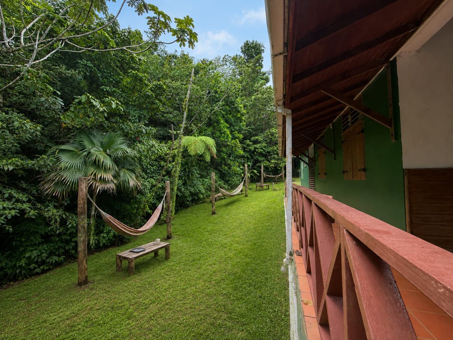 Hammocks strung between posts on the lawn, facing the forest